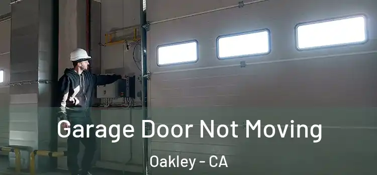  Garage Door Not Moving Oakley - CA