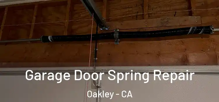  Garage Door Spring Repair Oakley - CA