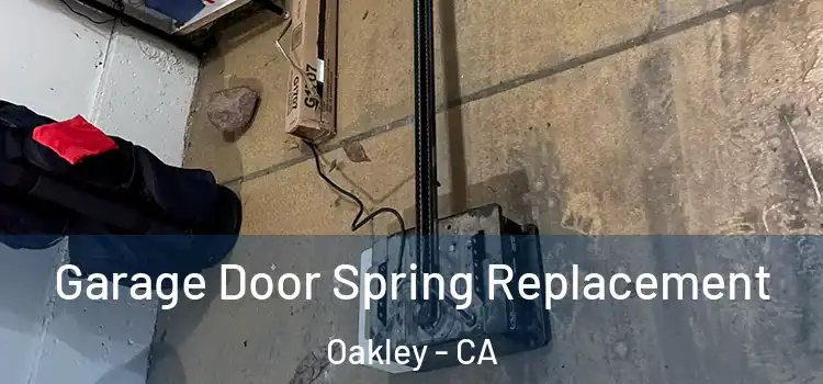  Garage Door Spring Replacement Oakley - CA